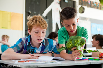 big bang broccoli broccoli gekke namen keet smakelijk