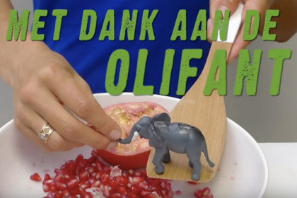 snel een granaatappel ontpitten Keuringsdienst van Waarde