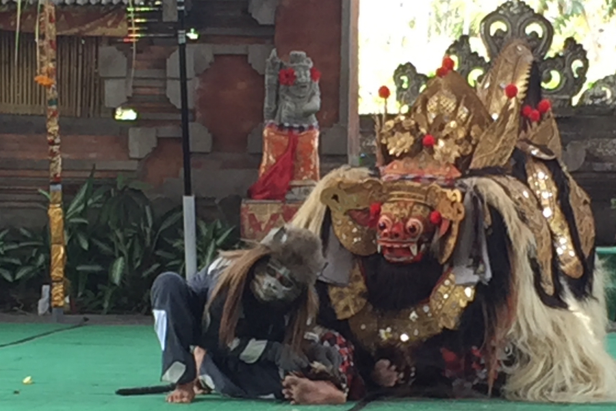 reisverslag Bali