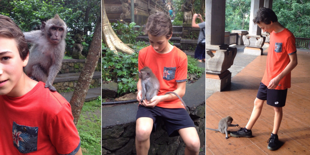 monkey forest ubud bali