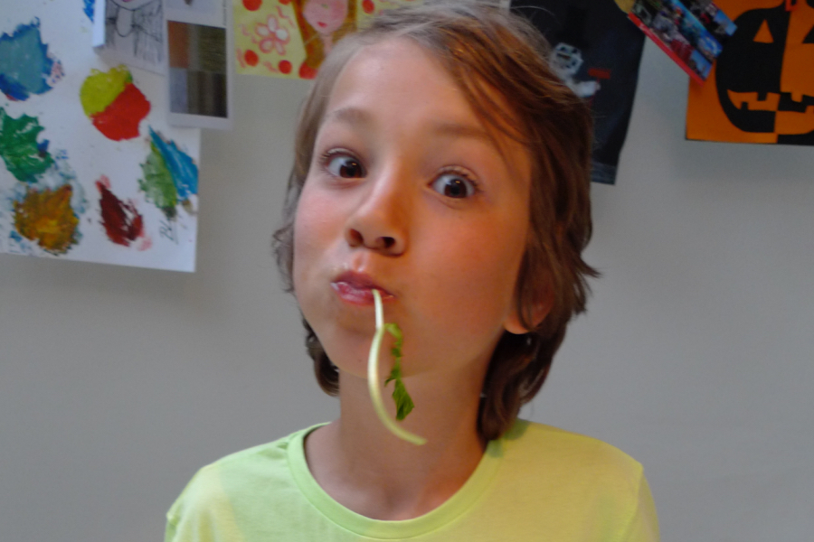 kind eet geen groente