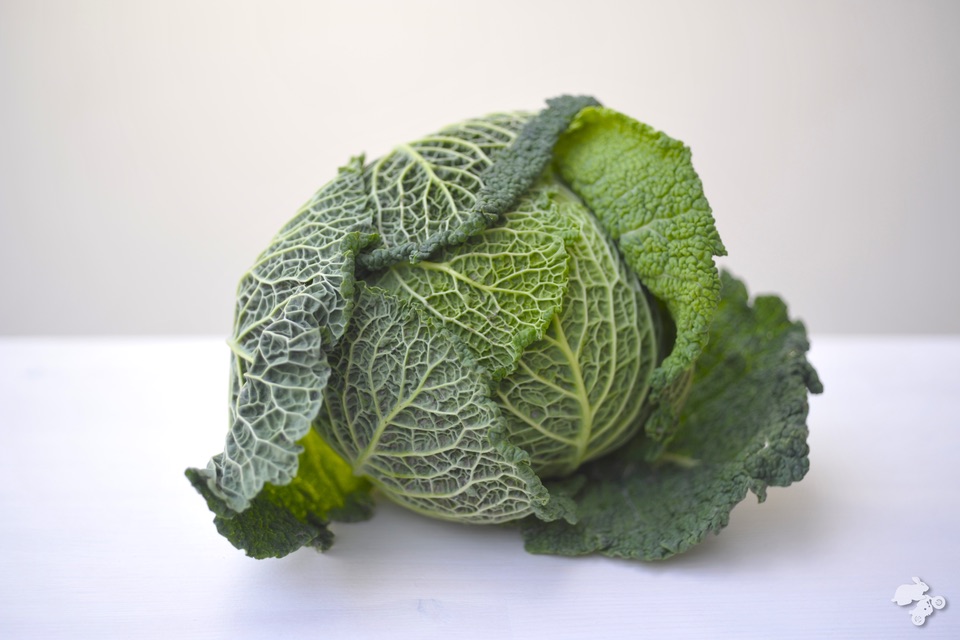 savooiekool ribollita recept