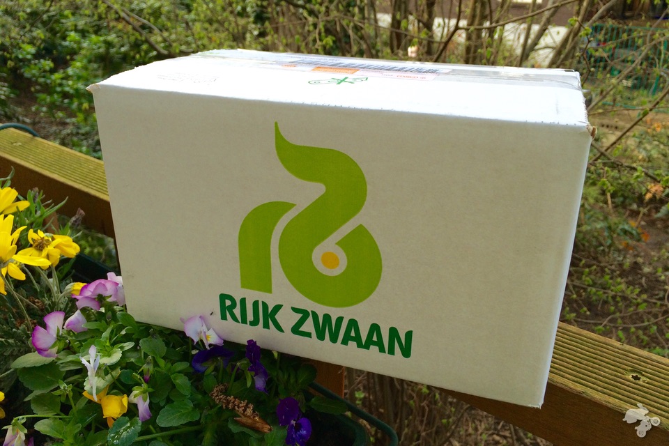 rijk zwaan
