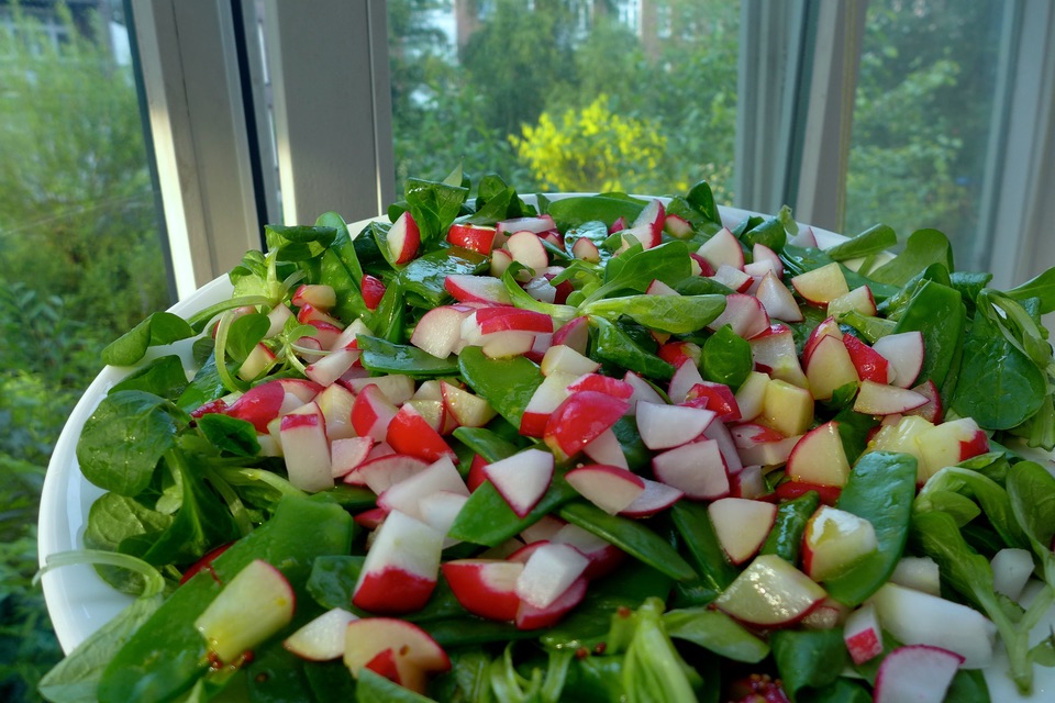 radijs salade