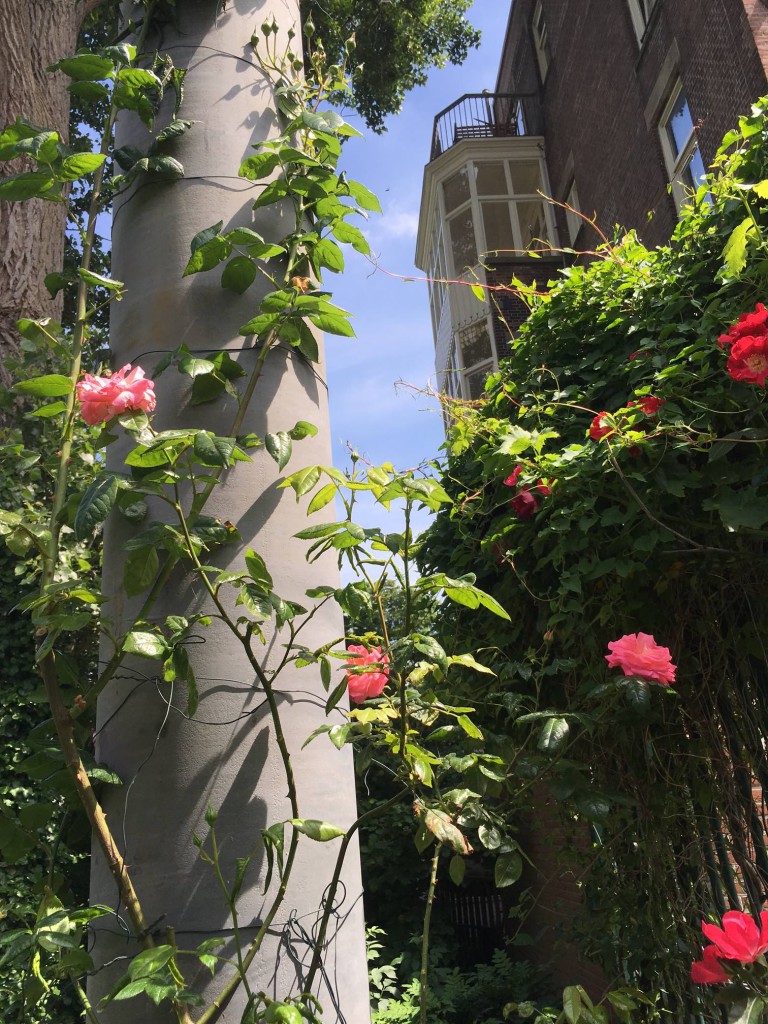 guerrilla gardening