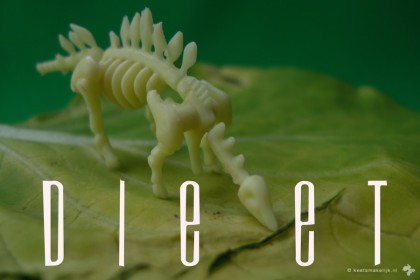 anti-dieet