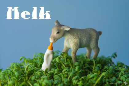 Wereldmelkdag melk is melk goed voor elk?