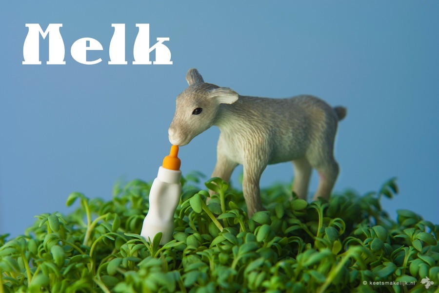 Wereldmelkdag melk is melk goed voor elk?