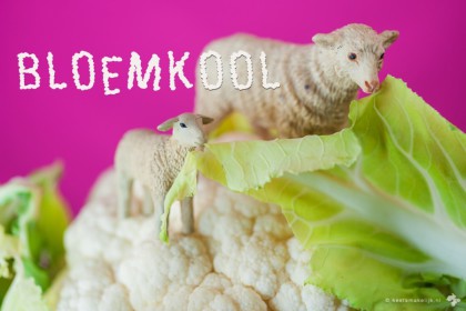 bloemkool salade