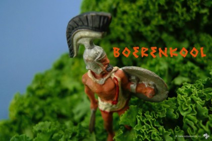 10 recepten met boerenkool