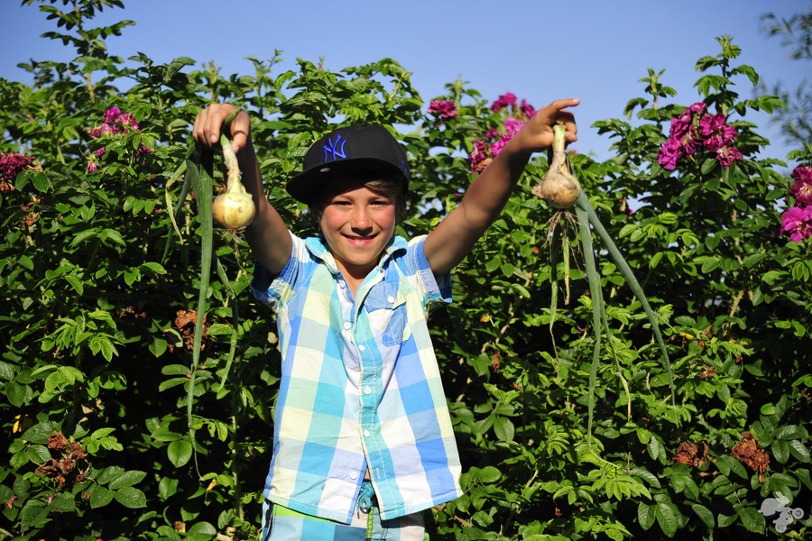 kids doen mijn eetexperiment foodgoeroe