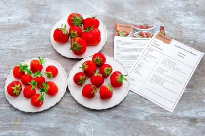 aardbeien-proefkit Willem en Dress