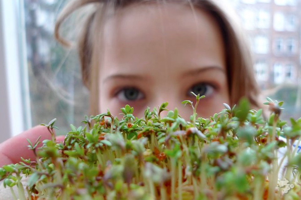 Dag van de duurzaamheid plantaardig dieet