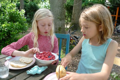 recept voor hangop met zomerfruit