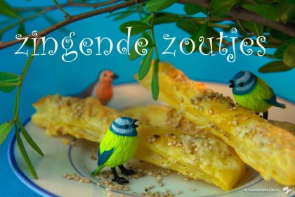 Zingende Zoutjes Keet Smakelijk snel koekjes maken