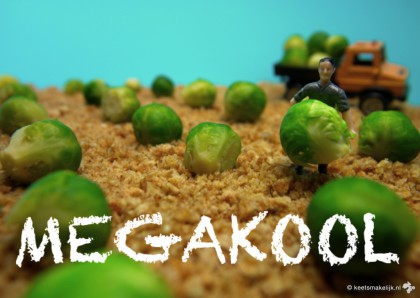 recept voor spruitjes uit de oven