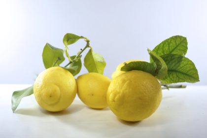 citroencake