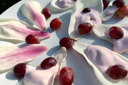 magnolia recept